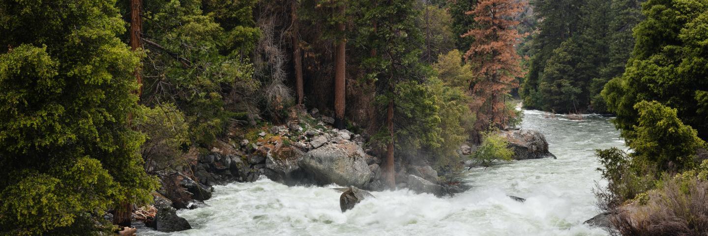 NRCS Stock Mountain Stream