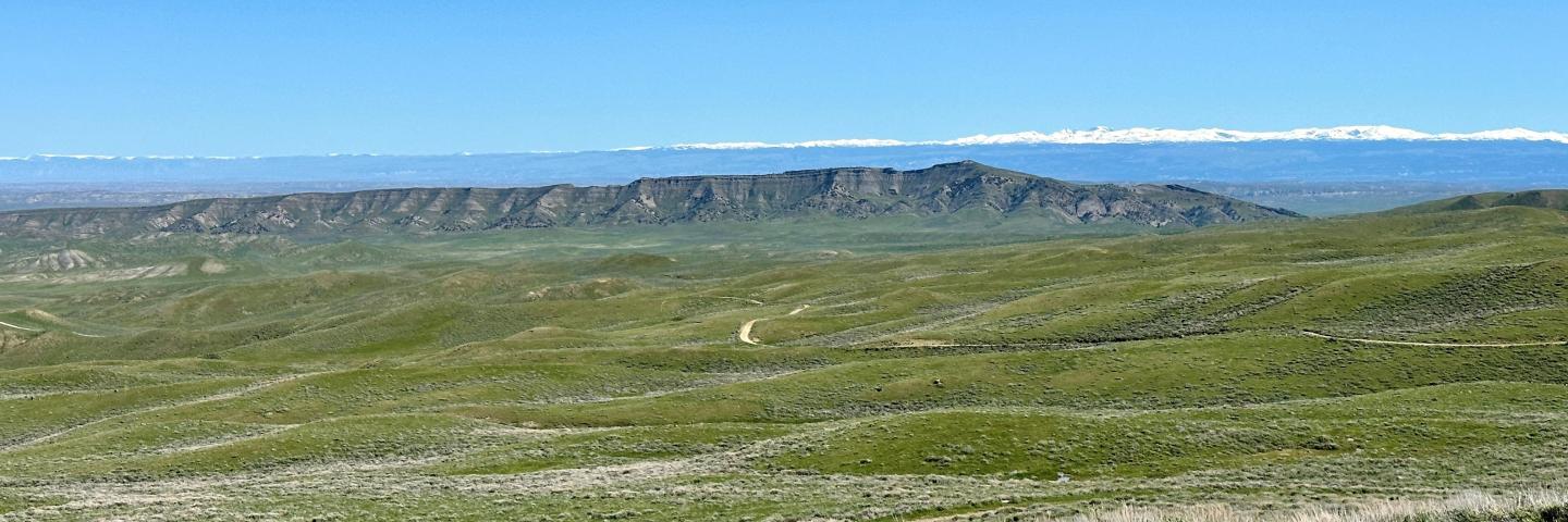 Black Mountain with the Big Horn Mountains rolling green hills