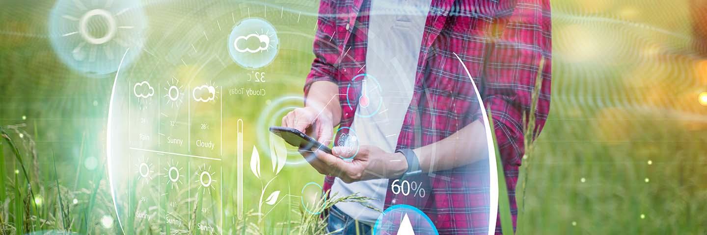 Young Asian man standing in a field tapping on his smartphone; overlay shows weather data, to suggest what he's looking at on his phone