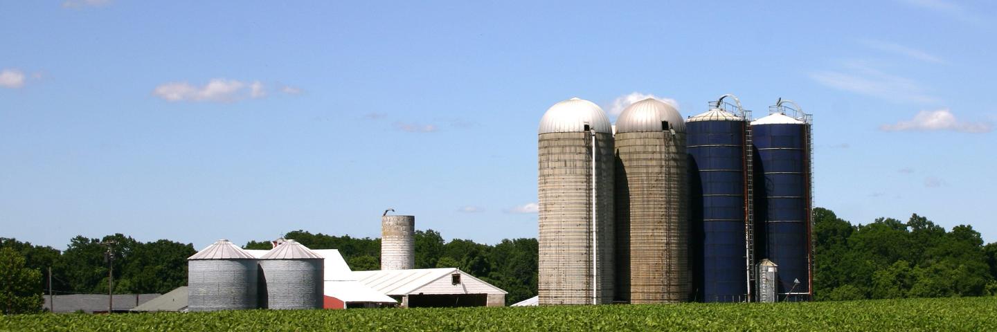 Farm