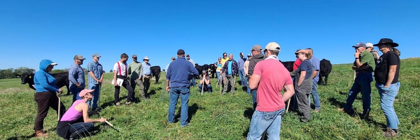 Group of grazing school participants in a field. 