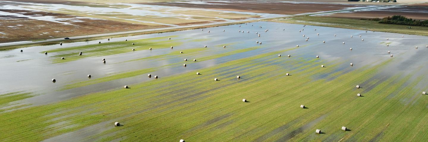 flooding fields