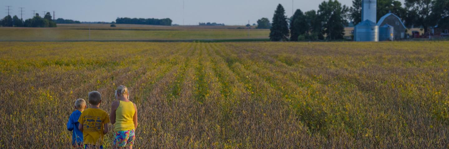 Tyler Carlson, 10, and his cousins Hunter, 7, and Isabelle Brodale, 10, and Bennett, 3, get a closer look at the soybean crop near their family's farm outside Humbolt, Iowa, Sept. 17, 2017.
USDA Photo by Preston Keres