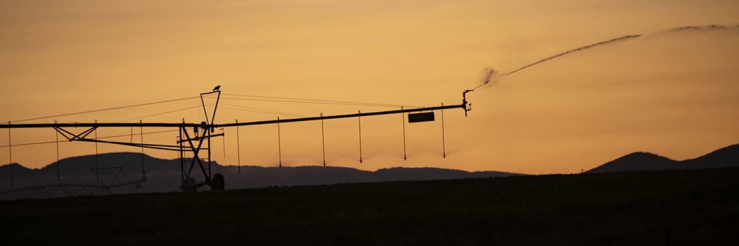 Sunrise pivot irrigation near P&amp;J Ranches where Producer Steve Burke (black baseball cap) and other landowners use water from the Ruby Reservoir at the base of the Ruby Mountains where water flows along the West Bench Canal, just above the mountain base, above the farmlands; along the way, improved U.S. Department of Agriculture (USDA) funded control valves allow water through debris grates and additional (self-cleaning) rotating cylindrical algae filter screens before entering inlets to funded Irrigati