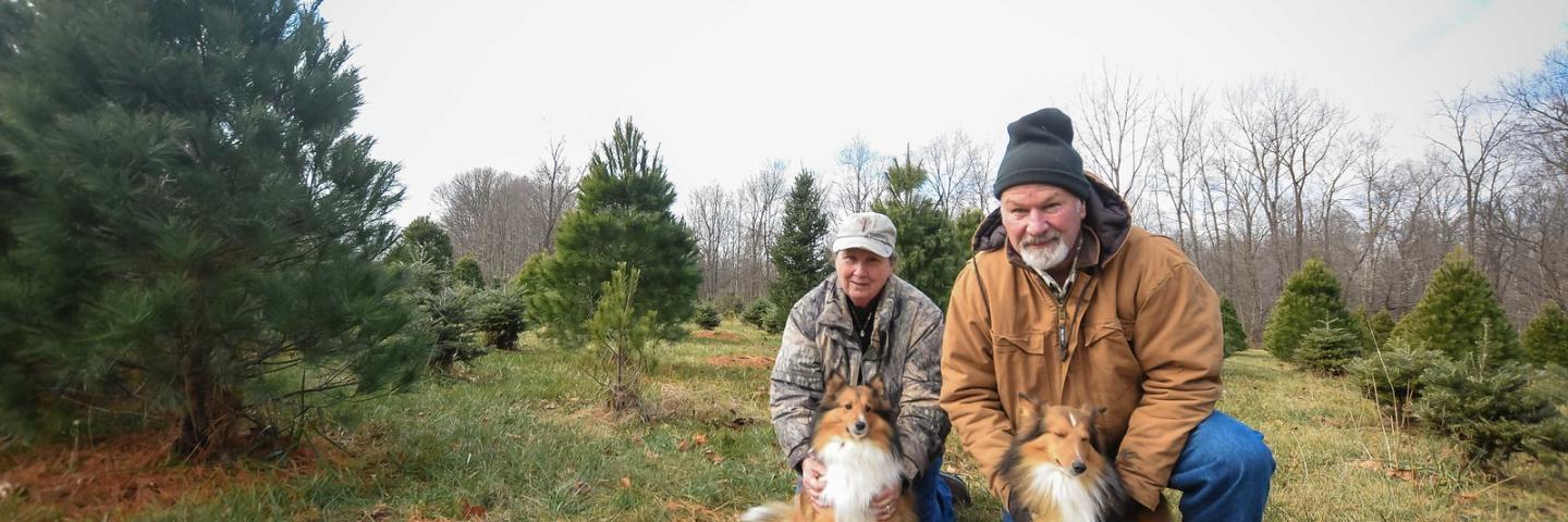 Peggy and Allen Royer, own Wagoner Christmas Tree Farm in Putnam County, Indiana, and have enrolled parts of their 220 acres in  multiple Environmental Quality Incentives Program (EQIP) and CSP contracts since 2008.  (Indiana NRCS photo by Brandon O'Connor)