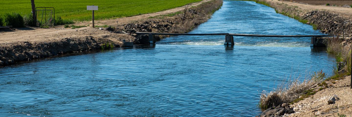 The New York Canal on Cloverdale Road near E. Hubbard Road in Boise, Idaho. The canal diverts water from the Boise River to create Lake Lowell near Nampa, Idaho.  7/20/2020 Photo by Kirsten Strough