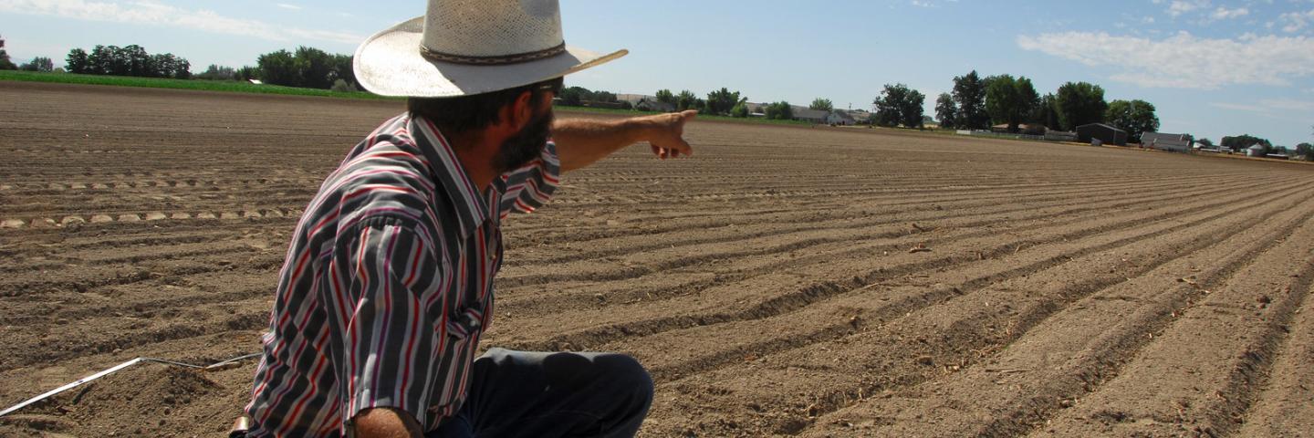 A Fruitland farmer explains a watering method he is using for the first time on a crop of onion seed that he is soon to plant.  Because the soil in which onion seed is planted must never dry out, he has has burried a drip line just underneath the soil.  This method will keep the soil constantly wet w ith a minimal amount of water. Fruitland, Idaho

7/20/2012 Photo by Kirsten Strough