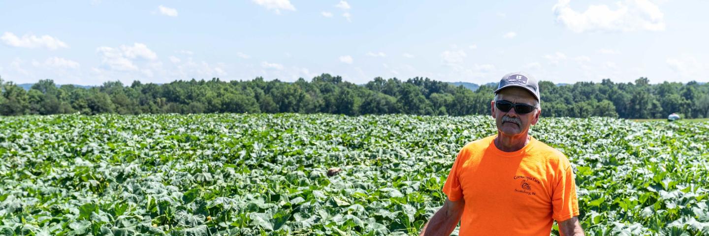 Kevin Baird tends to his growing pumpkins at Cornucopia Farm in Scottsburg, IN on Aug. 12, 2021. Kevin and Linda Baird are growing 20 acres of pumpkins and squashes this year along with mums, corn, soybeans and tomatoes. The Bairds have enrolled in multiple EQIP and CRP contracts through NRCS to help address resource concerns on their land including implementing cover crops and building a high tunnel to grow tomatoes. (NRCS photo by Brandon O’Connor)
