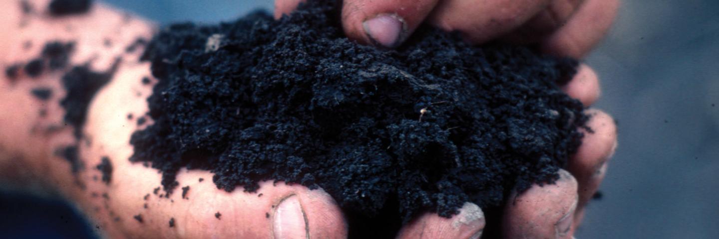 Healthy soil looks dark, crumbly, and porous, and is home to worms and other organisms. Healthy soil smells sweet and earthy. It feels soft, moist, and friable, and allows plant roots to grow unimpeded.

 

Location Iowa

 

Learn more at the &quot;Soil Health | NRCS&quot; web site:

<a href="http://www.nrcs.usda.gov/wps/portal/nrcs/main/national/soils/health" rel="noreferrer nofollow">www.nrcs.usda.gov/wps/portal/nrcs/main/national/soils/health</a>