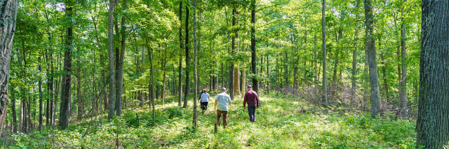 Indiana NRCS State Forester Daniel Shaver (left), David Ray and staff from Indiana NRCS check out the ongoing work being done at a private forest owned by Ray in Jackson County, IN during a visit May 24, 2022. Ray purchased 310 acres of forestland in 1995 to use for recreational purposes including hunting, hiking and foraging. Ray enrolled his land in NRCS’ Environmental Quality Incentives Program in 2017 for forest stand improvement and brush management. After the conclusion of his EQIP contract, he enro