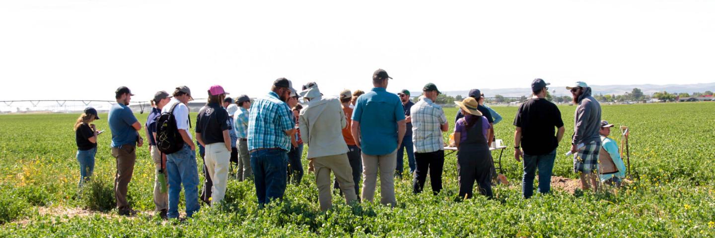 Members of the community gathered at Todd Ballard's farm in Kimberly, Idaho for the Magic Valley Soil Health Field Day on June 29, 2022. (NRCS Photo by Carly Whitmore)