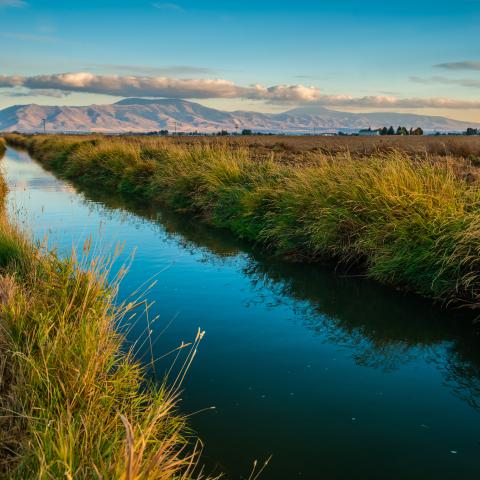 watershed