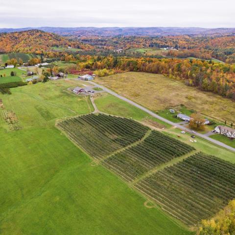 Farmland in western Massachusetts