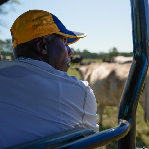 Fred Newhouse watches his cattle herd at Rhonda Ranch in New Waverly, Texas.
