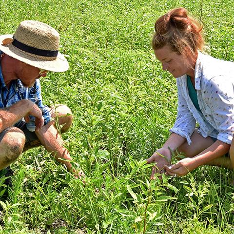 Mollie and Tobin Krell look at their newly seeded CRP ground.