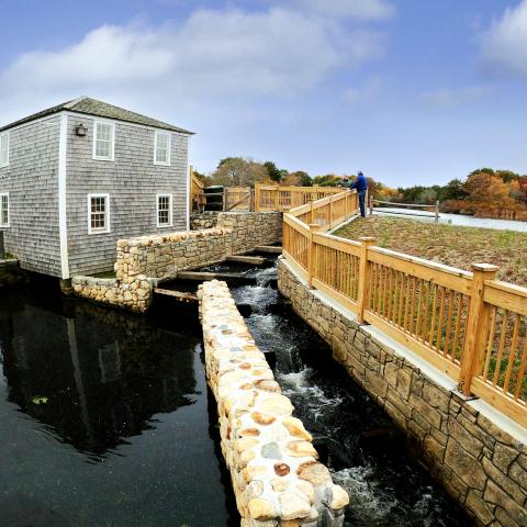 Baxter Grist Mill fish ladder, West Yarmouth, Massachusetts