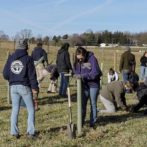 Volunteers planting trees on a Virginia farm.