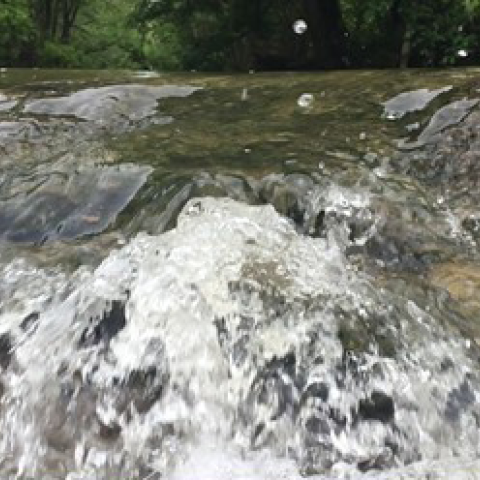 photo of a stream flowing over rocks, with yellow water drop graphic overlay