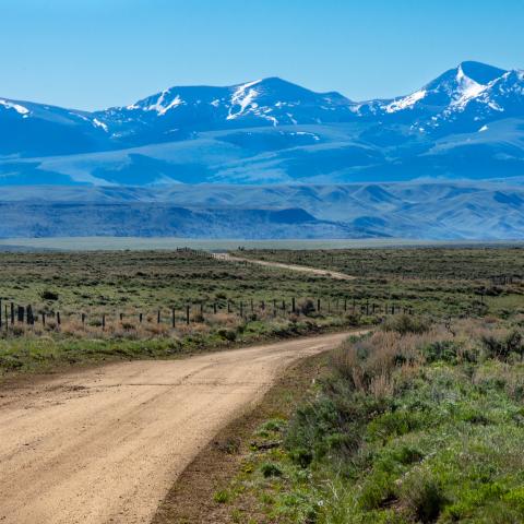 Road through rangeland with snowy mountains beyond in Madison County, Montana