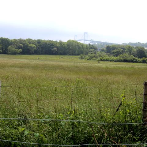 Farmland with the Newport Bridge in the distance.