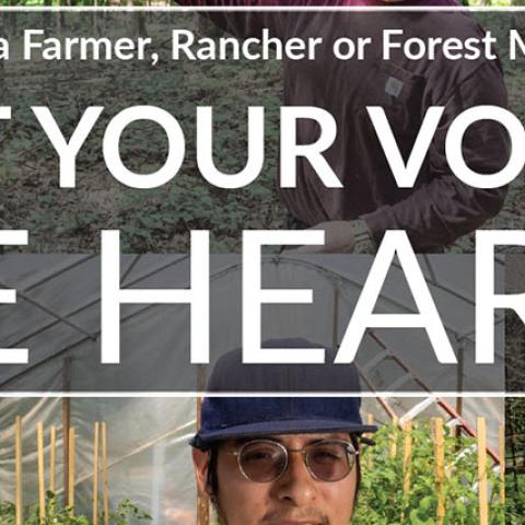 graphic showing ethnically diverse ag producers that asks: "Are you a farmer, rancher or forest manager? Let your voice be heard.