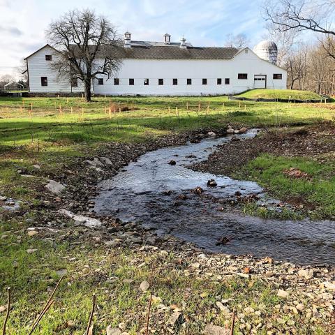 The Walnut Brook Stream at Dvoor Farm in Flemington was recently restored by NRCS through a partnership with Hunterdon Land Trust. 