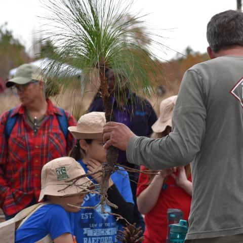 SPBA coordinator conducting a class on longleaf pine trees