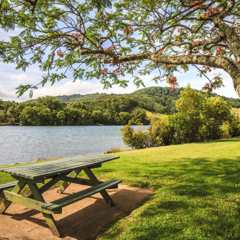 Lake scenic view