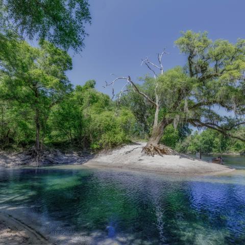 Telford Spring at Suwannee River in northern Florida.