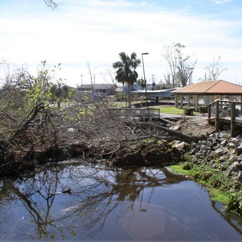 Bay County Florida debris in Creek following hurricane Michael in 2018