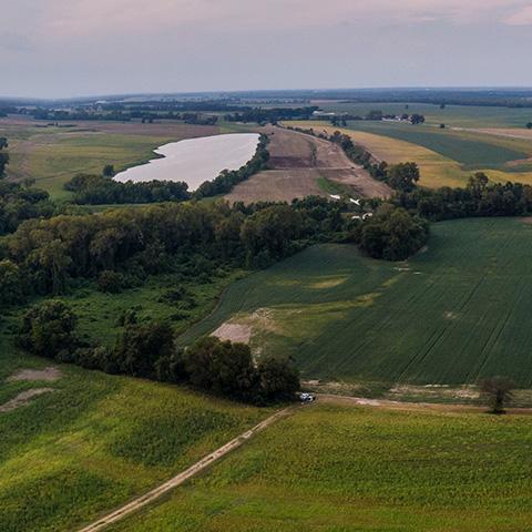 Aerial photo of croplands separated by windbreak trees, next to a pond