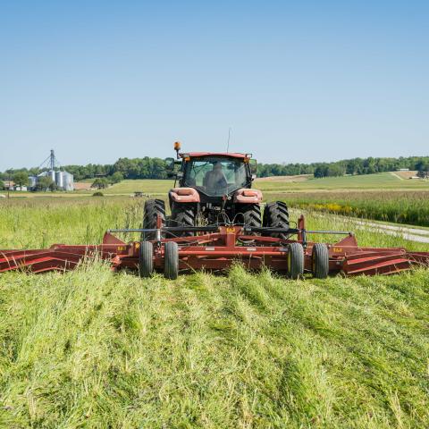 Indiana farmer roller crimping cover crops