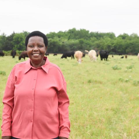 Kenyan native Elizabeth Kinwa standing in front of her beef cattle herd in Texas.
