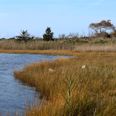 Winnapaug Pond in Westerly, RI, one of the three RI Statewide Natural Systems Demo project RCPP locations.