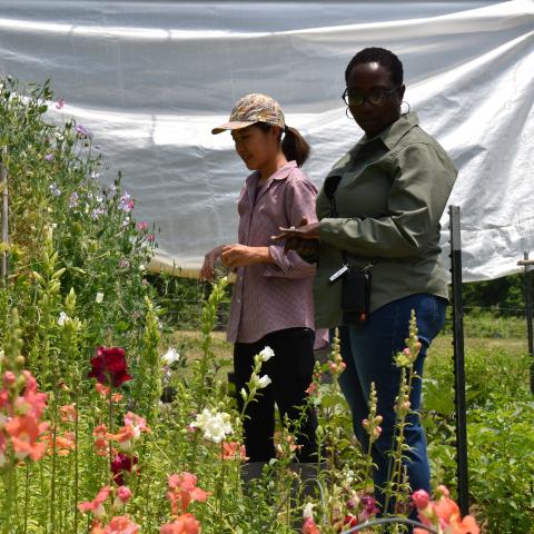 A NRCS employee standing next to a flower farmer in a garden
