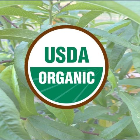 USDA Logo set on a generic garden background 