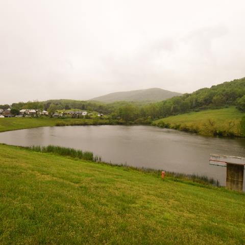 New Creek Site 1