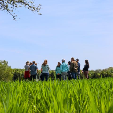 Group of people standing in a circle talking on a sunny blue sky day with grass growing in the foreground and a tree poking in from the side of the shot.