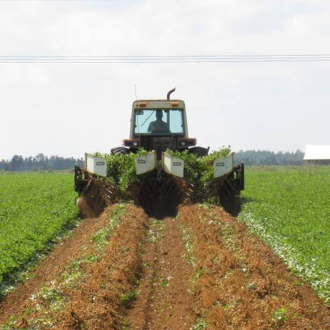 Tractor on cropland (peanuts) no-till conservation in North Florida. Photo by NRCS Jay Field Office.