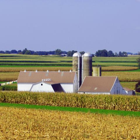 Farmland in the fall