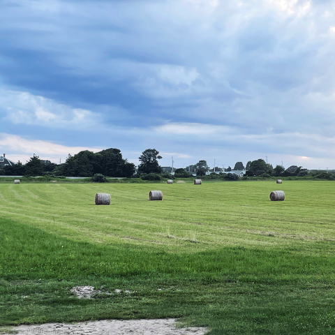 Hay bales in pasture in Matunuck, RI.