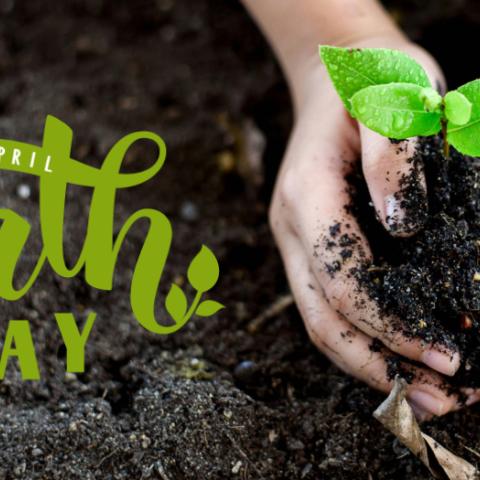 Earth Day - April 22 - Hands holding a seedling with healthy soil background