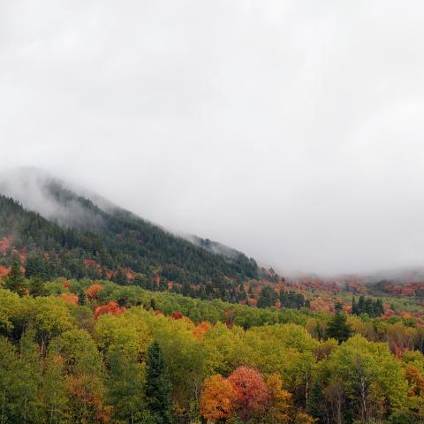 Huntsville fall colors
