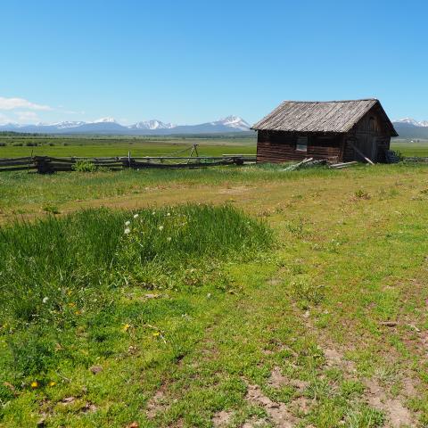 house in a field with mountains in the background