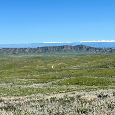Black Mountain with the Big Horn Mountains rolling green hills