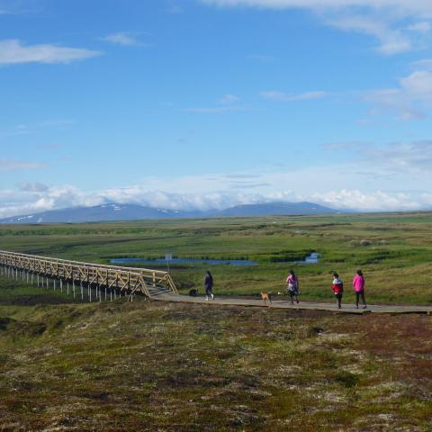 Trail in Hooper Bay, Alaska