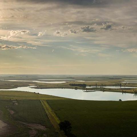 Aerial photo of water-filled prairie potholes, looking towards the sun in the evening