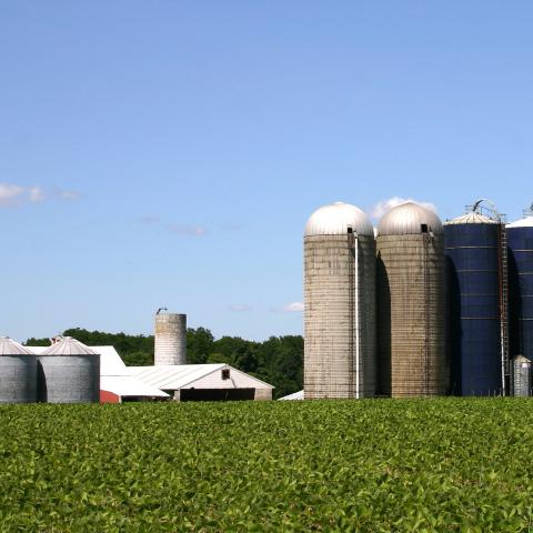 Farm