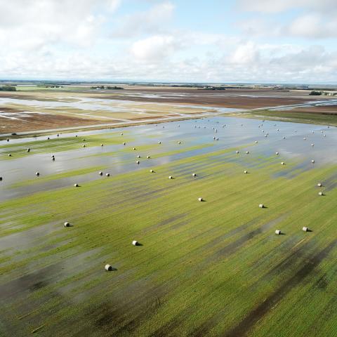 flooding fields
