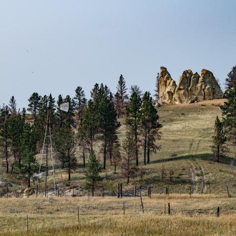 Rangeland with trees and rock formations on Northern Cheyenne Reservation rangeland in Southeastern, MT, on July 16, 2021. The Cheyenne land is leased to ranchers to graze their livestock. For several years there has been a pest problem with grasshoppers. U.S. Department of Agriculture, USDA, Animal and Plant Health Inspection Service, APHIS, Plant Protection and Quarantine, PPQ, Suppression was applied early in the grasshopper lifecycle when they were not able to mate and lay eggs, which greatly reduces